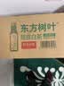 农夫山泉东方树叶陈皮白茶500ml*15瓶无糖茶饮料0糖0脂0卡整箱 实拍图