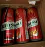 乌苏啤酒（wusu）双口味混合18罐（红500mL*12罐+楼兰500mL*6罐）组合装 实拍图
