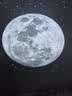 POCOCO星空投影灯仪2026新款卧室满天星睡眠氛围灯生日礼物星空顶小夜灯 实拍图