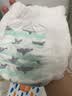 碧芭宝贝盛夏光年Pro拉拉裤XXL码28片(≥15kg)学步裤尿不湿夏天超薄透气 实拍图