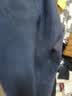 京东京造牛仔裤子夏季新款舒适百搭薄款男士休闲裤显高显瘦 靛蓝 M 实拍图
