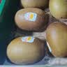 佳沛（zespri）新西兰金奇异果10个装单果重103-114g猕猴桃水果礼盒 实拍图