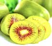 佳沛（zespri）新西兰金奇异果10粒巨大果146-175g猕猴桃水果礼盒 实拍图