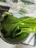 双塔粉条纯红薯粉条1000g 粉丝南北干货火锅食材地瓜粉炖菜火锅酸辣粉 实拍图