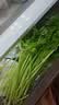 【火锅季】七鲜24小时富硒香芹苗 250g(长度≤40cm) 实拍图