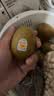佳沛（zespri）新西兰金奇异果12粒特大果124-146g猕猴桃水果礼盒 实拍图