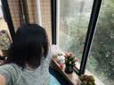 忆丝芸直发膏蛋白矫正毛发柔顺剂免拉直家用软化膏男头发服帖软发烫发梳 实拍图