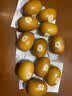 佳沛（zespri）新西兰 金奇异果特大果15粒134-146g猕猴桃水果礼盒 实拍图