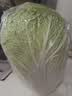 【火锅季】翡翠褶大白菜1.2kg 实拍图