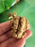 欢可多新疆185纸皮核桃2026年新货薄皮核桃手捏即开生核桃年货坚果1000g 实拍图