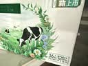 伊利【新鲜日期】金典纯牛奶 200ml*12 3.6g乳蛋白礼盒装 实拍图