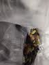 百草味四色葡萄干430g罐装新疆吐鲁番特产原料免洗大果干蜜饯零食 实拍图