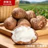 京鲜生山东牛奶小芋头 净重4.5斤中果25g+ 源头直发 蔬菜辅食 自营包邮 实拍图
