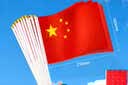 优和（UHOO）国庆小国旗手持小红旗手摇旗 小五星红旗杆帜 8号50面带杆14*21cm送贴纸 户外儿童手拿小旗子带杆 实拍图