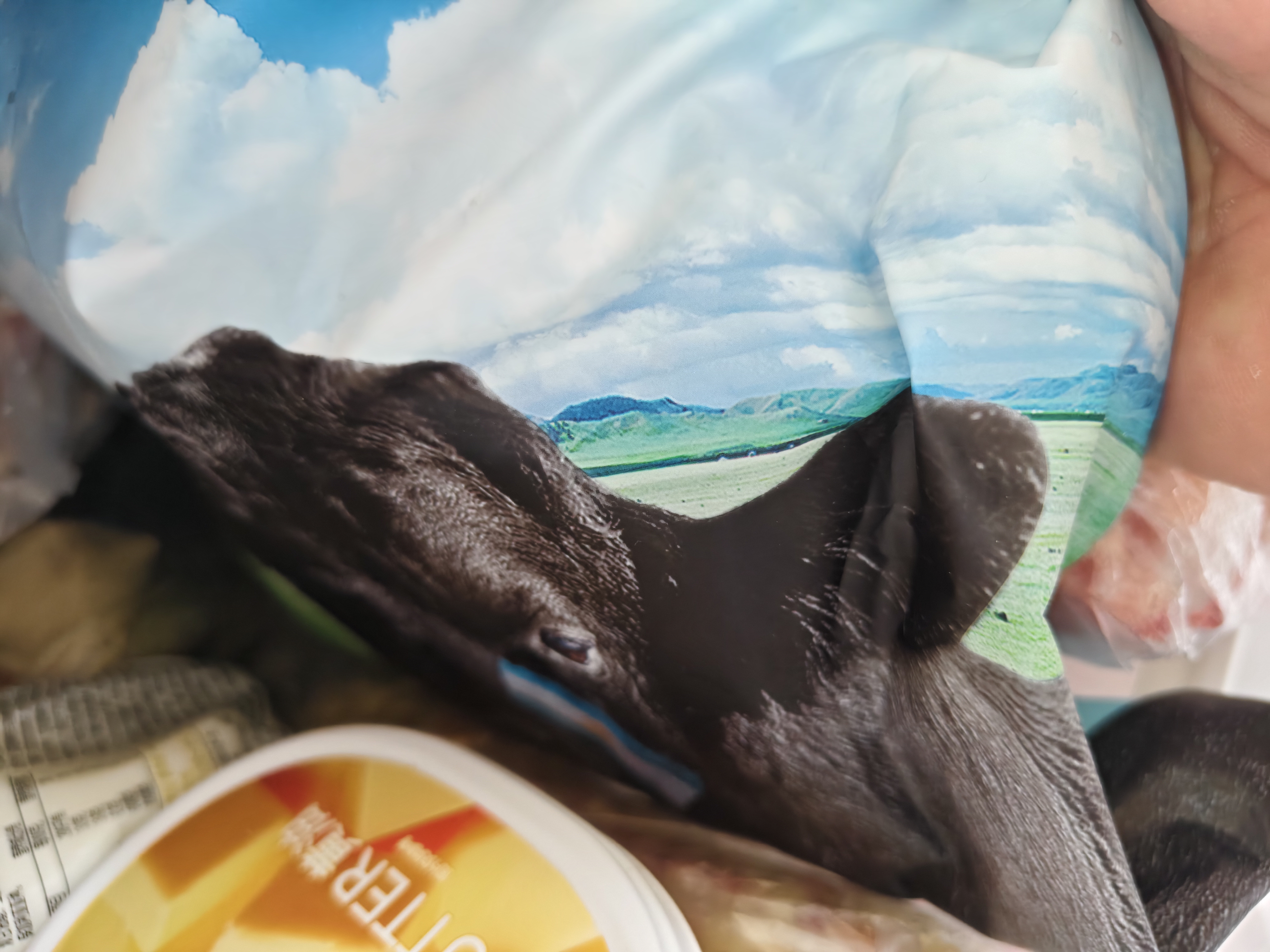 春禾秋牧 阿根廷安格斯原切上脑牛排1kg/5片 牛肉生鲜 火锅烧烤炒菜食材 实拍图