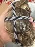 【活蟹】蟹叁钳庄 大闸蟹公5.0-5.3两母4.0-4.3两4对8只鲜活生鲜现货螃蟹礼盒 实拍图