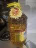 鲁花 食用油 物理压榨 葵花仁油6.18L  实拍图