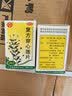 4盒装东北制药  黄连素 盐酸小檗碱片 100片用于肠道感染胃肠炎 实拍图