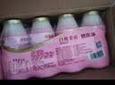 优乐多 乳酸菌饮品 340ml*12瓶 礼盒装 饮料 益生菌发酵 儿童零食 实拍图