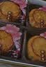 杏花楼广式月饼礼盒上海糕点心伴手送礼品中秋团购老字号嫦娥铁盒800g 实拍图