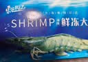 东上御品虾 青岛海鲜大虾基围虾鲜活青虾白虾海虾对虾冰虾冻虾生鲜 虾类 3斤(净重)  单冻大虾【活虾速冻】 17-21cm【特大虾皇】 实拍图