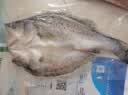 仙泉湖冷冻三去白蕉海鲈鱼700g/袋(2条装)肉厚刺少水产生鲜食材 实拍图