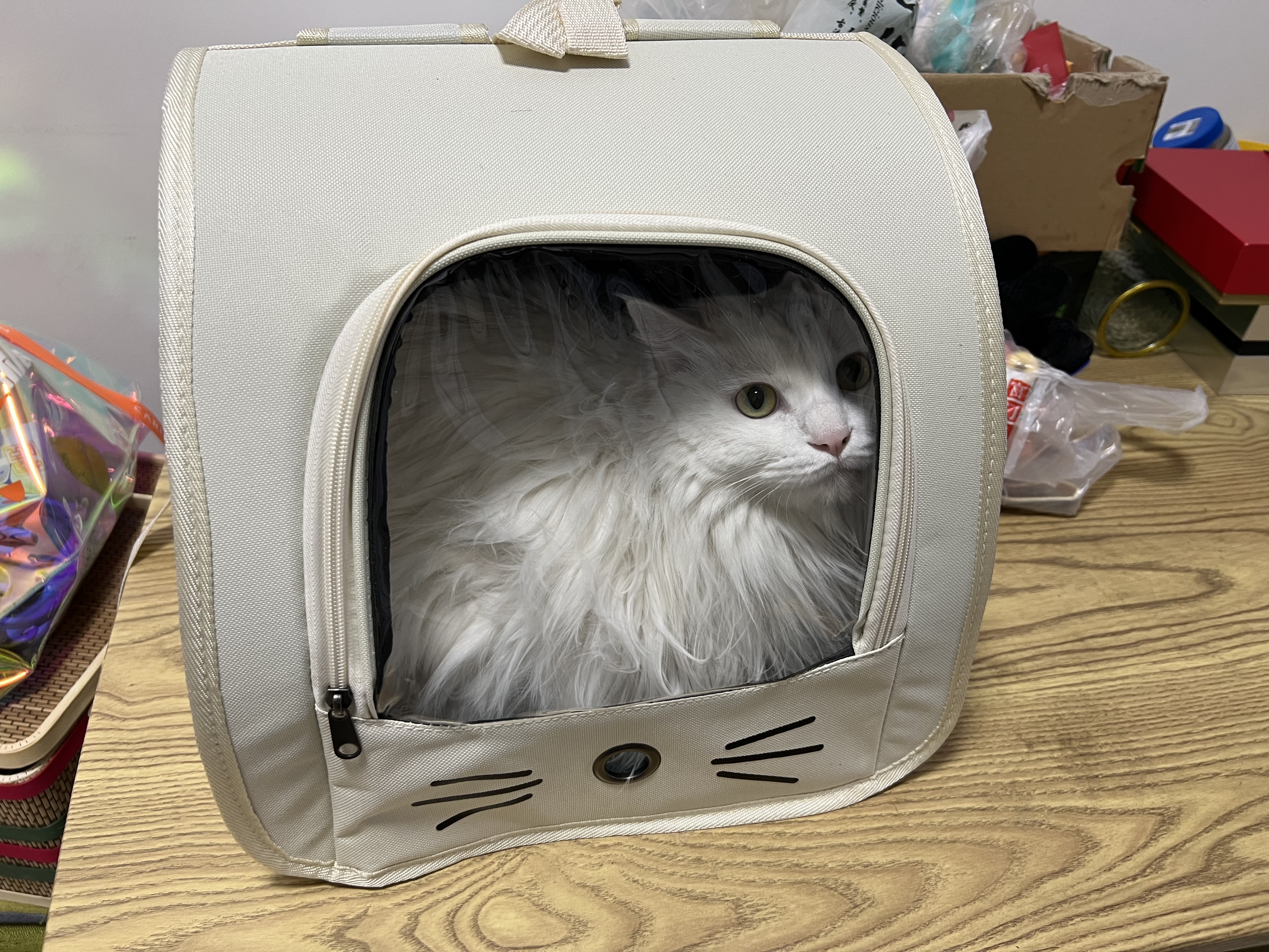 甜浪海猫包外出便携包双肩背包猫咪太空包狗包手提宠物包航空箱米白色 实拍图