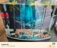 森森耀蓝鱼缸过滤器壁挂式YBF-500外置过滤桶【鱼便分离+过滤升级】6W 实拍图
