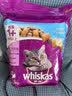 伟嘉成猫猫粮全价粮1.3kg海洋鱼味夹心粮布偶蓝猫橘猫 实拍图