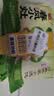 三全春风小灶刀鱼荠菜小馄饨226g*2袋夜宵儿童早餐速冻半成品 实拍图