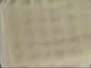 全棉时代婴儿口水巾儿童水洗纱布小毛巾洗脸礼盒4条装 粉蓝黄绿25×25cm 实拍图