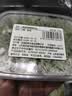 【免洗净菜】小葱香菜调味组合40g 实拍图