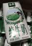 伊利【新鲜日期】金典纯牛奶 200ml*12 3.6g乳蛋白礼盒装 实拍图