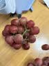 京鲜生 云南妮娜皇后葡萄 红酒风味3-3.5斤 单果12g起 生鲜中秋水果礼盒 实拍图