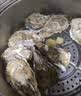 鲜京采鲜活生蚝3XL 净重5斤 13-18只 乳山牡蛎 烧烤清蒸 新鲜海鲜 贝类 实拍图