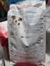 皇家狗粮 幼犬狗粮 宠物 小型犬 MIJ31 全价犬粮 2-10月 2KG 实拍图