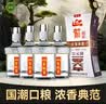 迎驾贡酒银星 浓香型 白酒 42度 520ml*4瓶 整箱装 家乡酒 实拍图