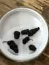 仁医谷特级新疆黑桑椹干养生免洗新货精选大果无沙即食茶教师节礼物530g 实拍图