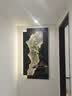 墨派（Mopai）九鱼图玄关装饰画带led灯的壁画砂岩绿植高级感客厅走廊过道挂画 01九鱼招财 总50x100cm(上40x85+底40x100) 双层立体精雕手工砂岩画 插电款【led灯带接电源22 实拍图