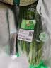 七鲜24小时绿色韭菜 250g 实拍图