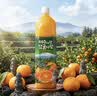 乐天韩国济州岛原装大瓶进口柑橘汁饮料1500ml 实拍图