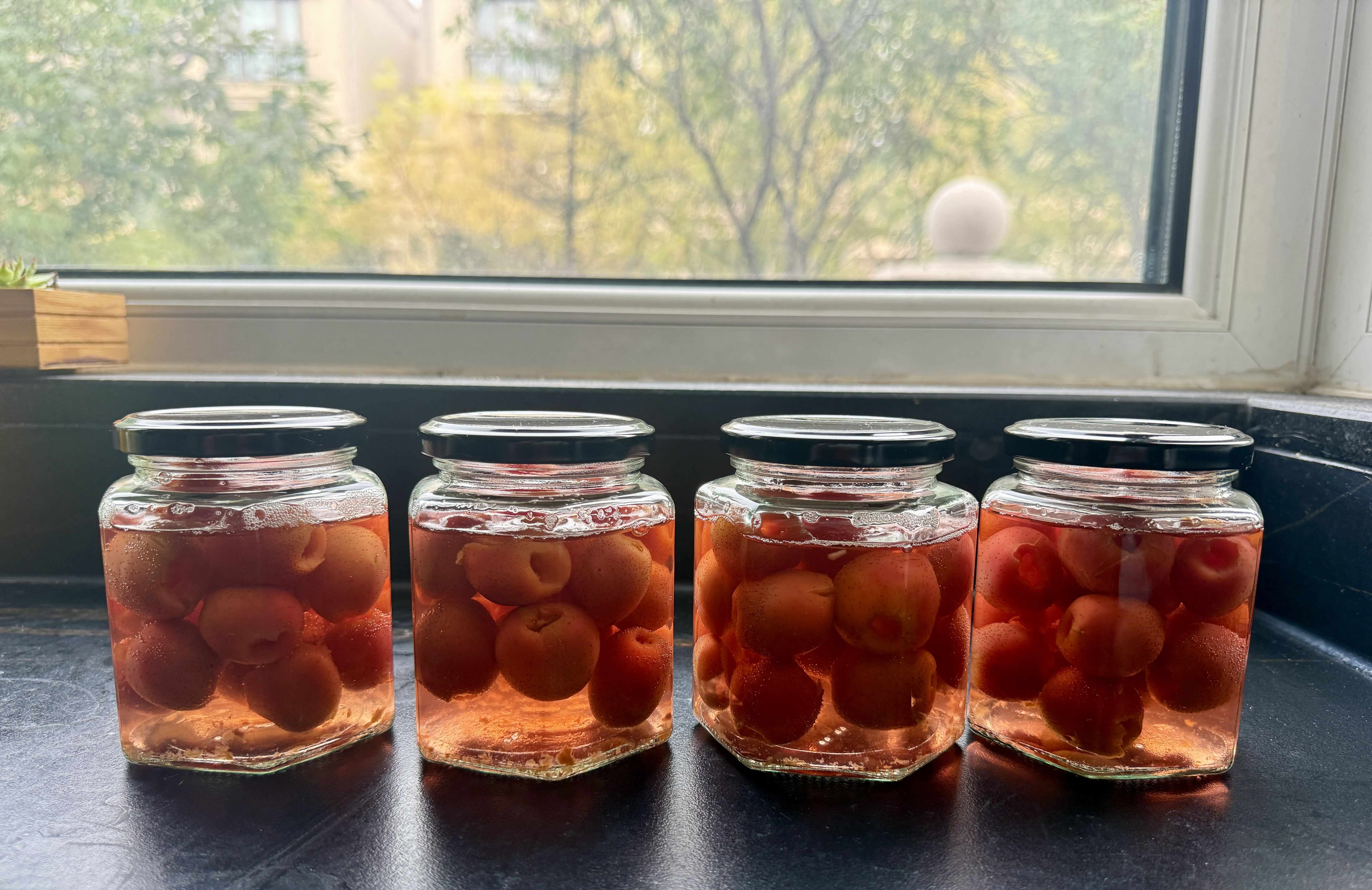 拜杰玻璃密封罐蜂蜜瓶可蒸煮燕窝分装瓶果酱罐头瓶380ml*6腌腊八蒜 实拍图