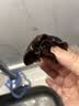富昌东北无根黑木耳228g 肉厚无根木耳煲汤炒菜凉拌火锅材料特产干货 实拍图