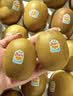 佳沛（zespri）新西兰金奇异果12粒特大果124-146g猕猴桃中秋节礼品送水果礼盒 实拍图