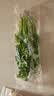 【火锅季】带根香菜100g 实拍图