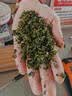 同仁堂（TRT）桑叶双瓜茶苦冬瓜血糖二型糖降茶降病特高血效压血尿养生160g 实拍图