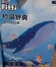 菲比Fitti秒吸舒爽乐玩裤拉拉裤XL114片(12-17kg)加大码裤型瞬吸干爽 实拍图