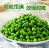 浦之灵新西兰甜青豆350g/袋 小豌豆粒 轻食代餐沙拉加热即食冷冻蔬菜 实拍图