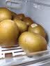 佳沛（zespri）新西兰金奇异果10个装单果重约103-114g 水果礼盒 猕猴桃 实拍图