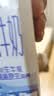 光明纯牛奶200ml*24盒3.2g乳蛋白营养早餐奶牛奶整箱送礼京东自营 实拍图